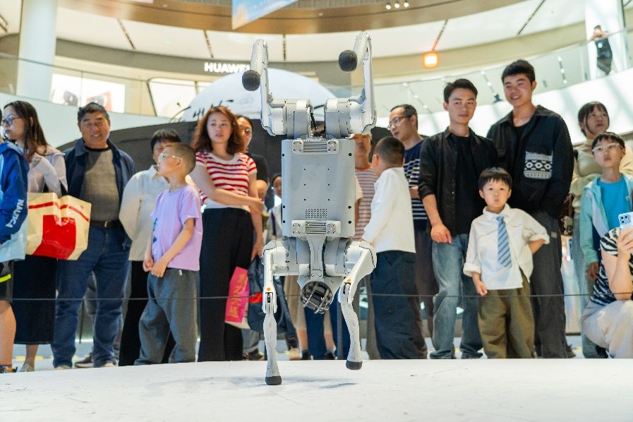 Shanghai robot experience area